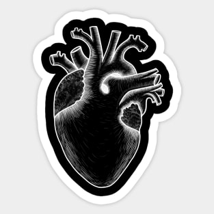 Human heart anatomy, I love my heart Sticker